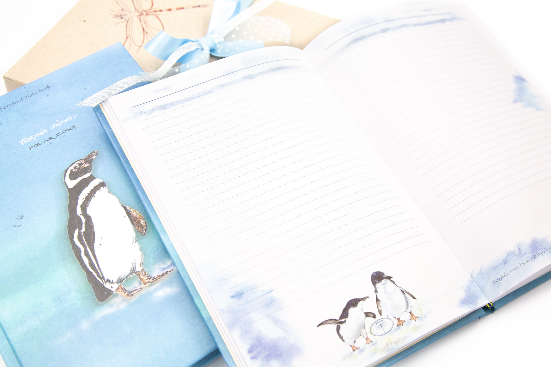 Personal notebook "Polar Zone" - Details