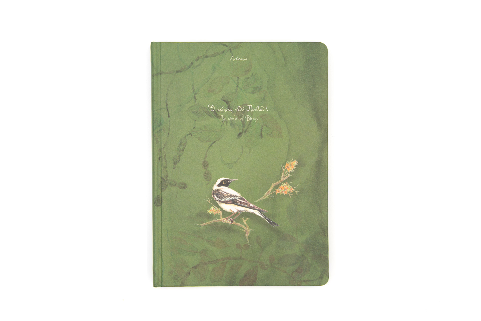 Book of secrets "the World of Birds" - Front