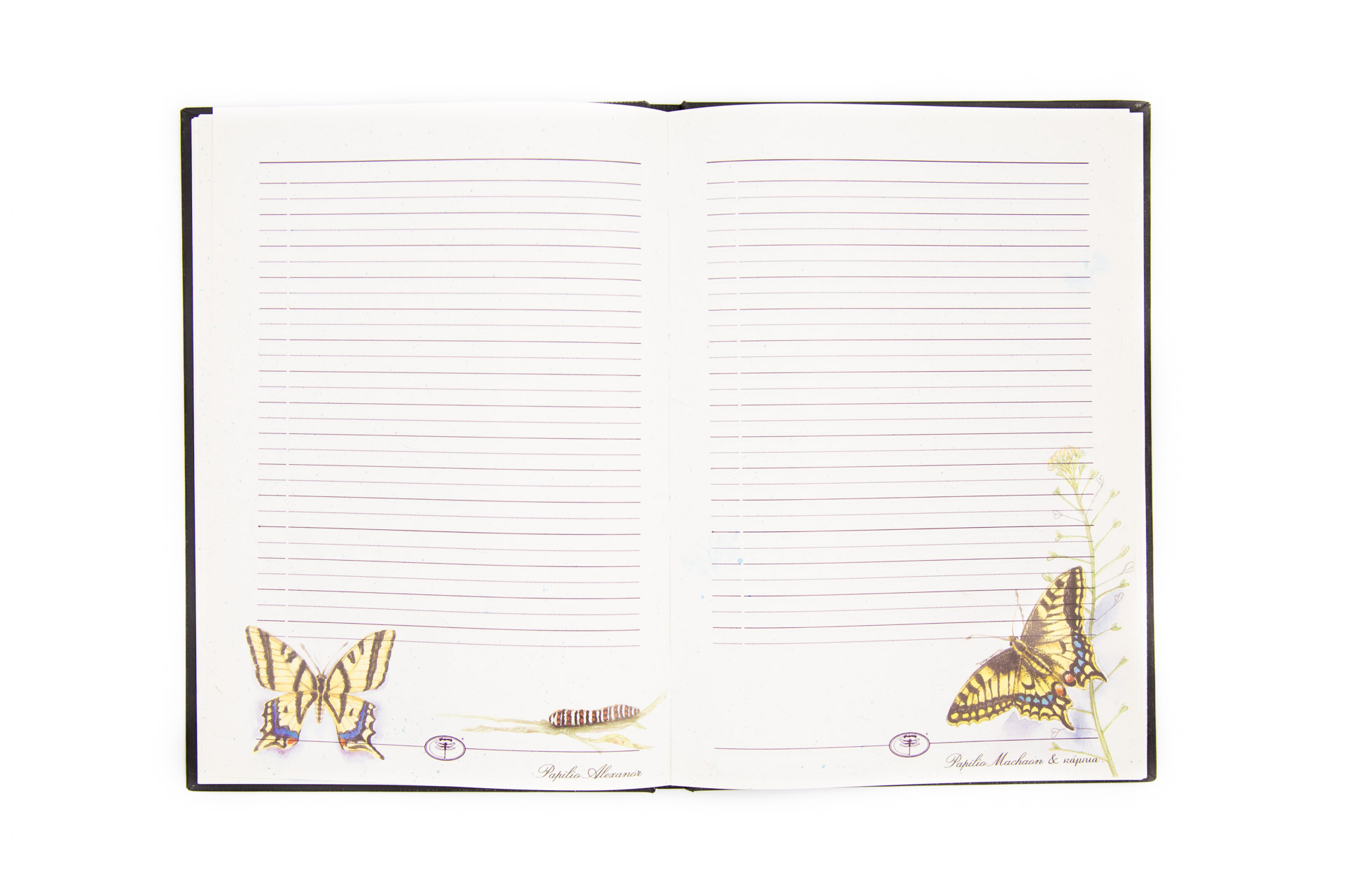 Personal notebook "Butterflies" - Spread
