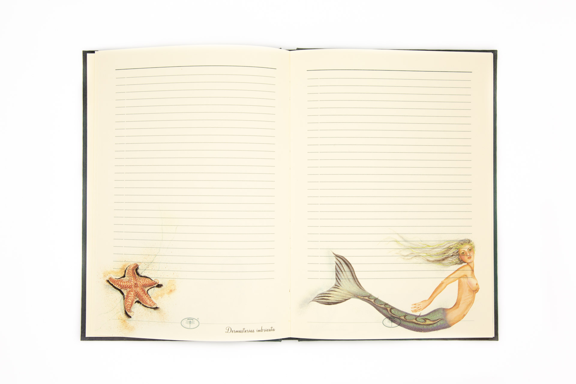 Personal notebook "Starfish & Mermaids" - Spread