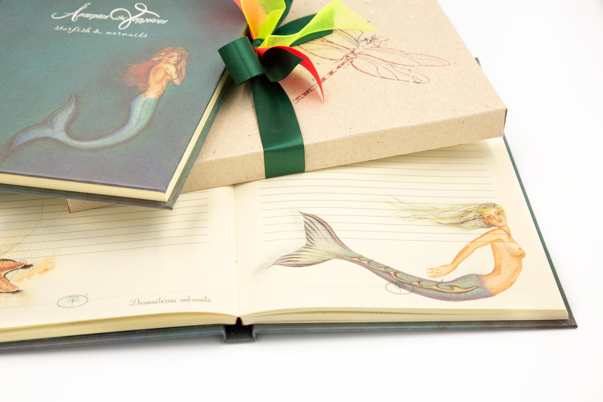 Personal notebook "Starfish & Mermaids" - Details