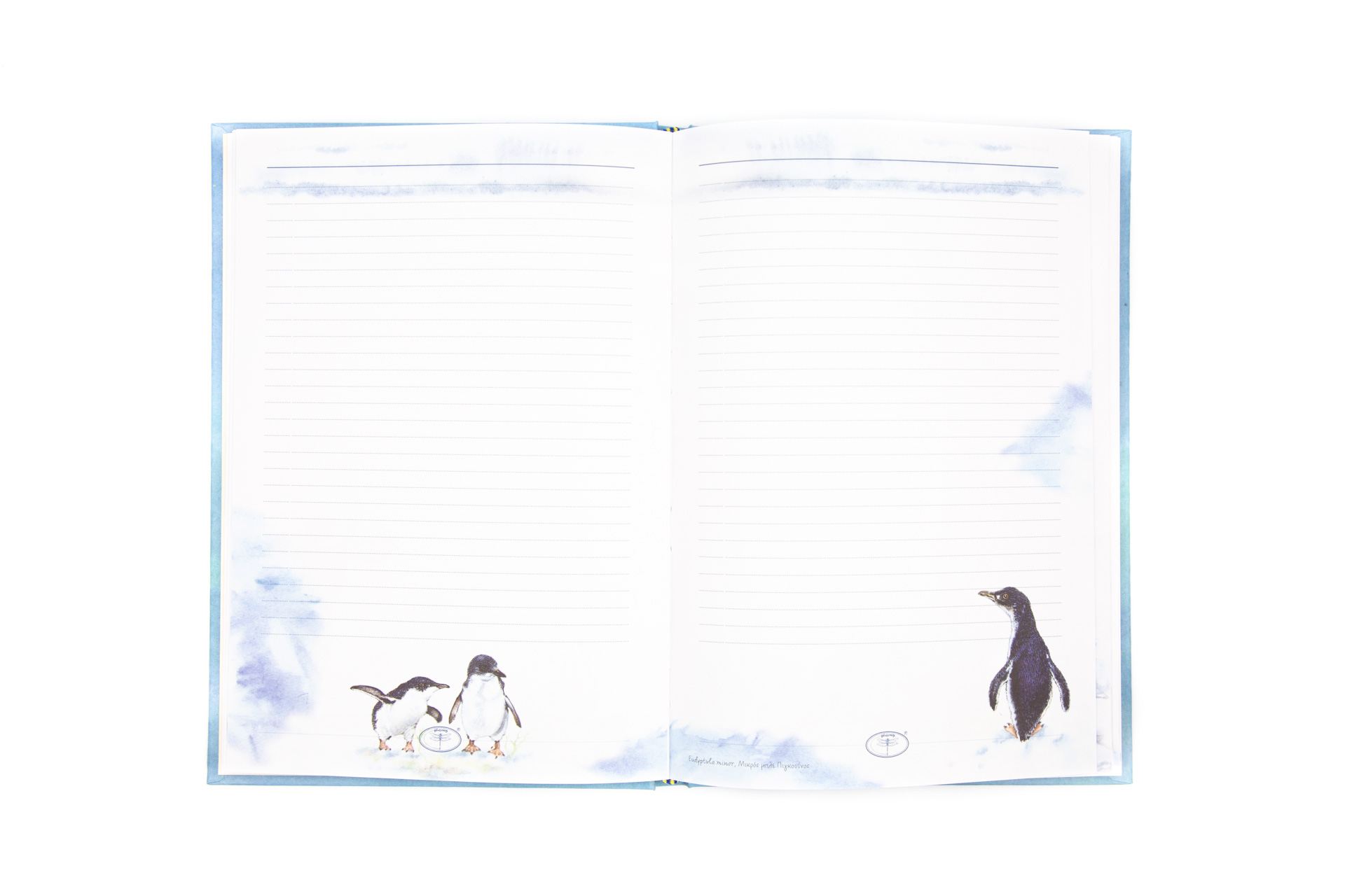 Personal notebook "Polar Zone" - Spread