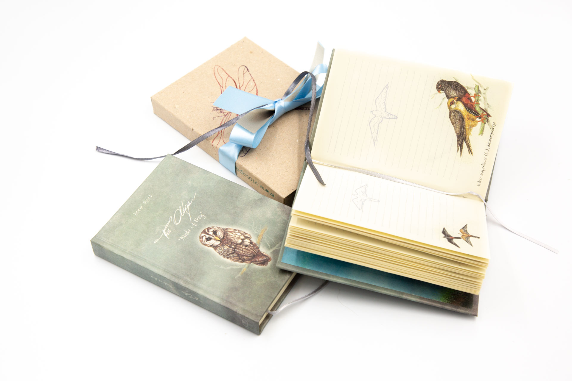 Small notebook "Birds of Prey" - Details