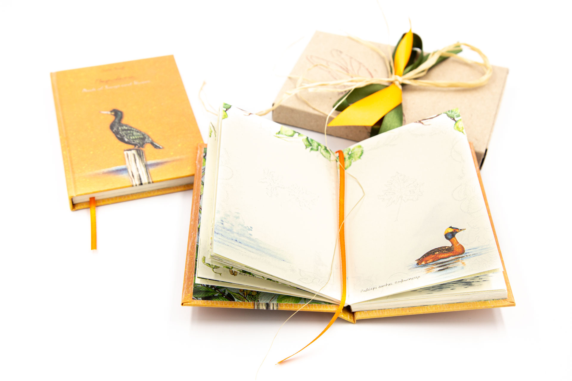 Small notebook "Birds of Songs and Shores" - Range