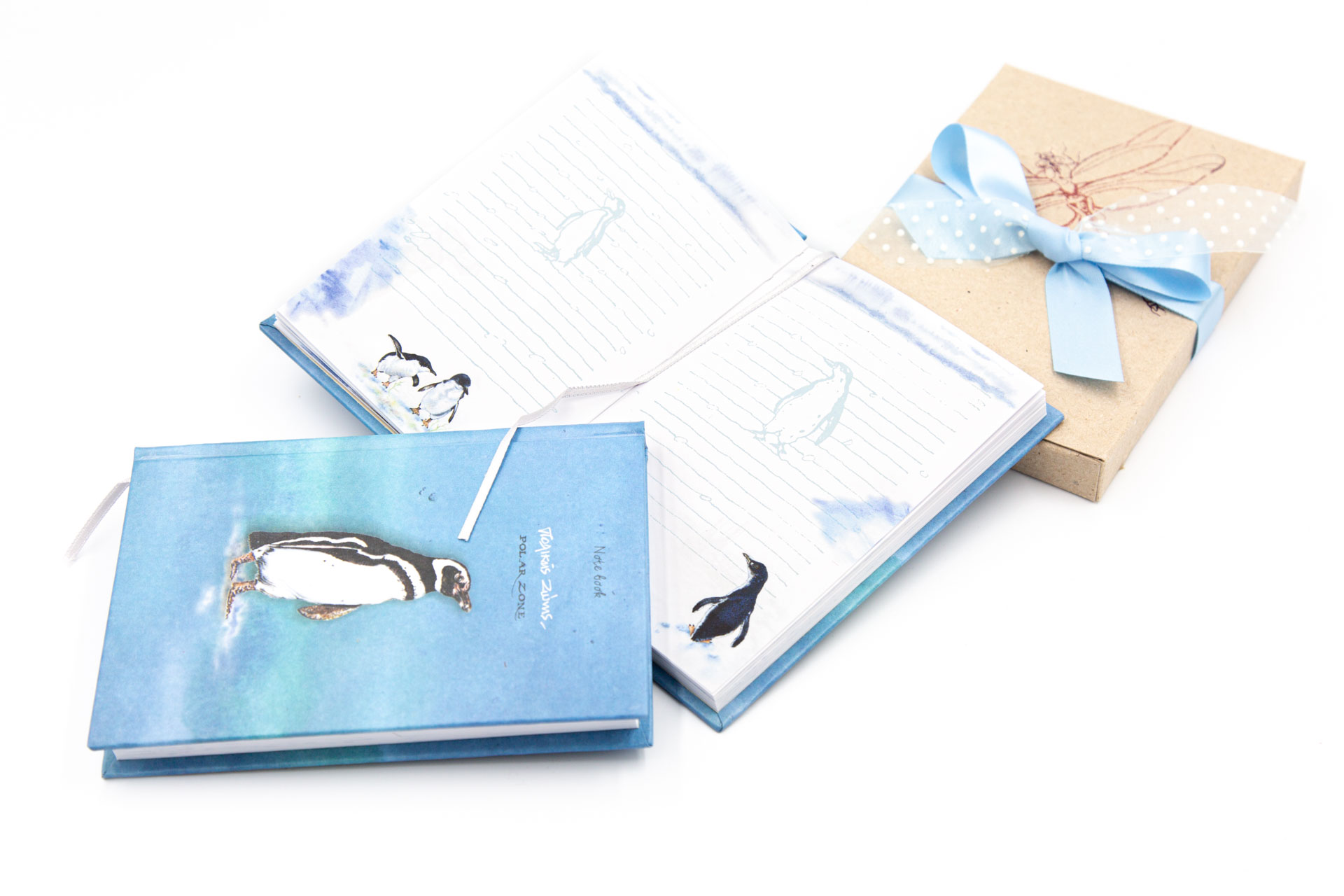 Small notebook "Polar Zone" - Front, Spread and Packaged