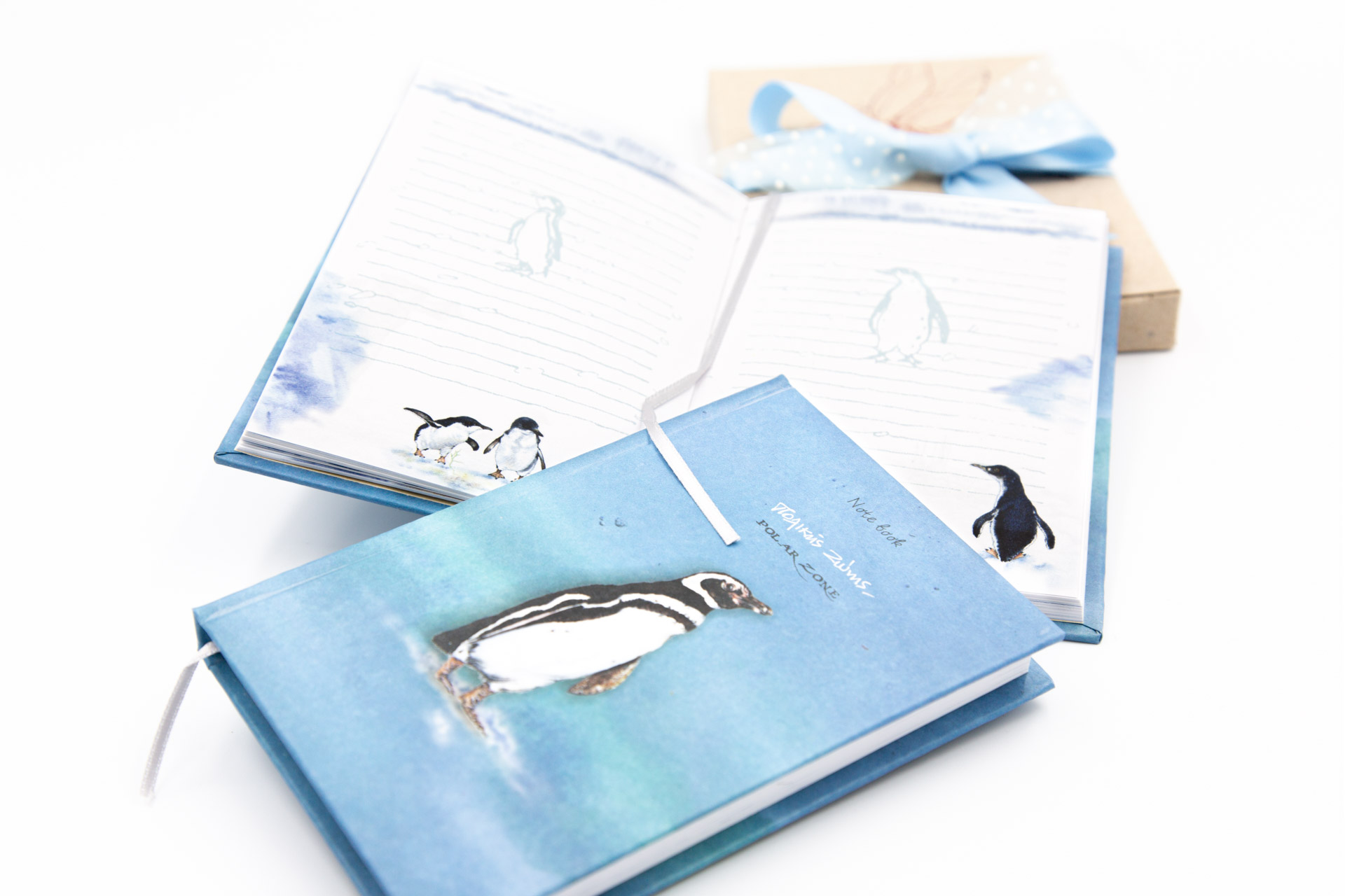 Small notebook "Polar Zone" - Details