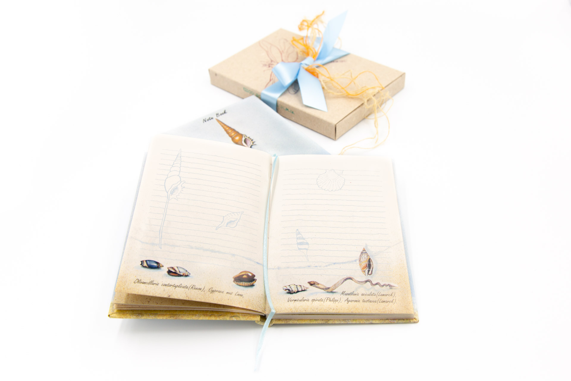 Small notebook "Shells & Snails" - Spread, Front and Package